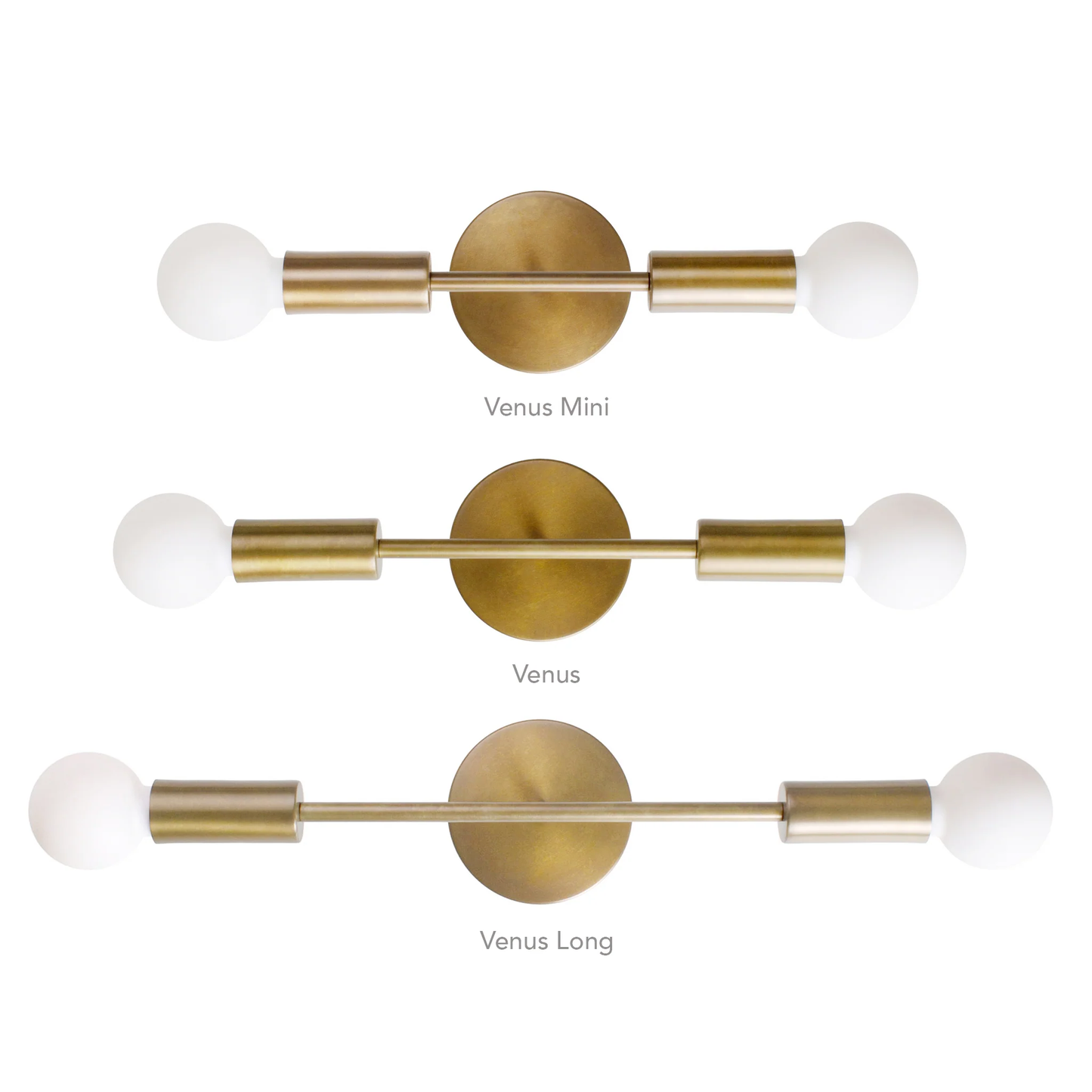 Venus Wall Light